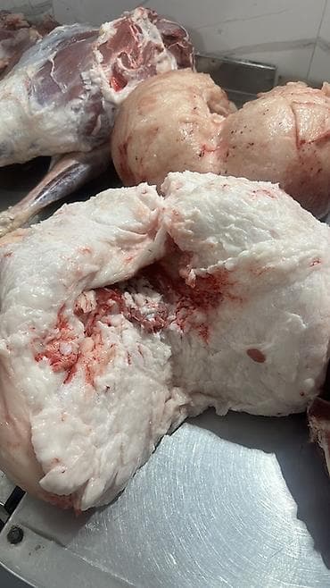 Койдун куйругу курдюк - Крупные пласты белого нутряного жира с