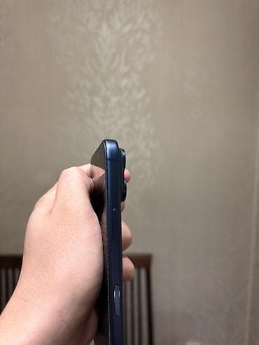 телеви: IPhone 17 Pro, Б/у, 256 ГБ, Синий, Чехол, 98 % — 2