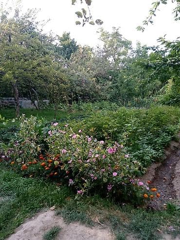 4: 🏡 Продаётся 4-комнатный кирпичный дом с участком! 📍 Локация: ж/м — 5