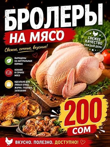 салют цена бишкек: Бройлеры на мясо - Свежие, сочные, вкусные - Выращены на натуральных — 1