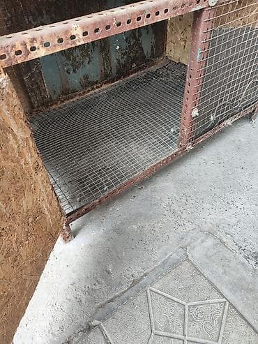 Үй жаныбарлары: Клетка для цыплят/кроликов, двухъярусная (будете брать отдам ещё — 5