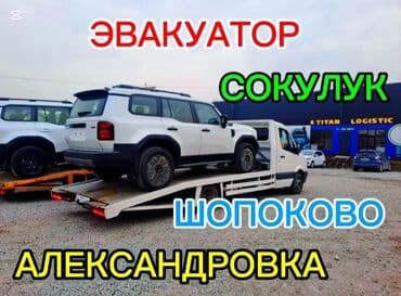 страхование сельскохозяйственных животных: Көтөргүсү менен — 1
