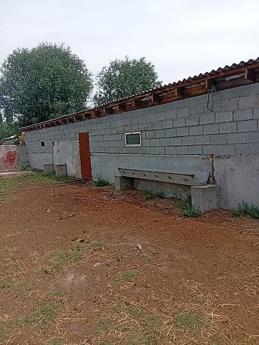 Farm КРС, 6 соток, Действующий, Без оборудования, Электричество — 6