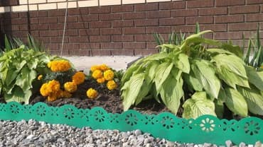 триммеры для сада: Декоративная бордюрная лента. Бордюрная лента предназначена для — 2