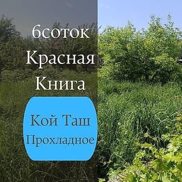 6 соток, Для строительства, Красная книга, Договор купли-продажи