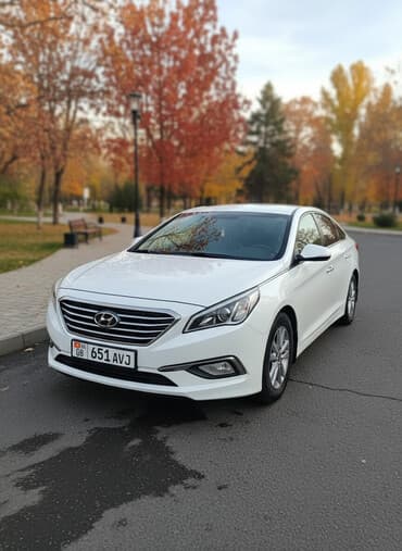 Hyundai Sonata: 2015 г., 2 л, Автомат, Газ, Седан