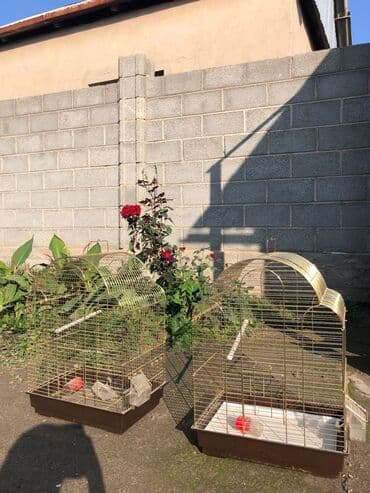 временная: Клетки для птиц, комплект из двух штук. Особенности: - Материал — 1