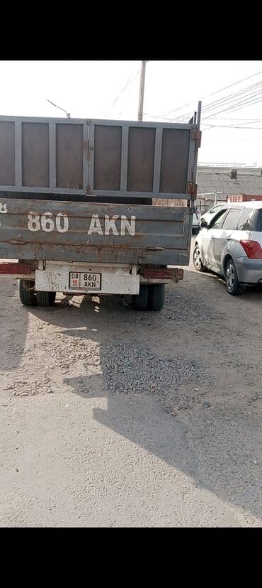 Собаки: Продаю | Коза (самка) — 5