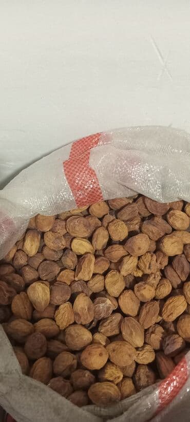 оптом орехи: Баткен орүгү — 1