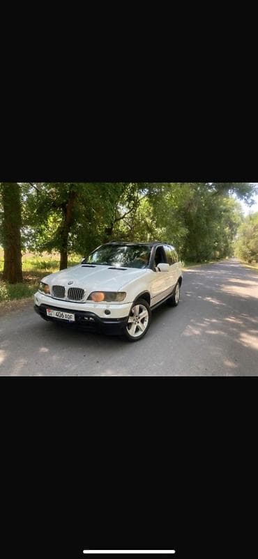 bcd com kg 2022: BMW X5: 2001 г., 4.4 л, Автомат, Бензин, Кроссовер — 2
