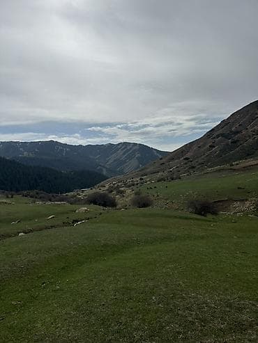 село канстантиновка дом: 15 соток, Для бизнеса, Красная книга — 10