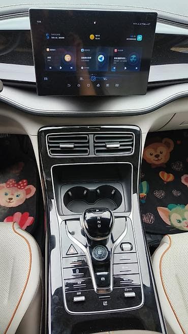 model y: BYD Qin: 2021 г., Автомат, Электромобиль, Седан — 8