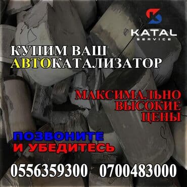 или меняю с доплатой мне: Катализатор дорого котализатор котолизатор католизатор дорого анализ — 3