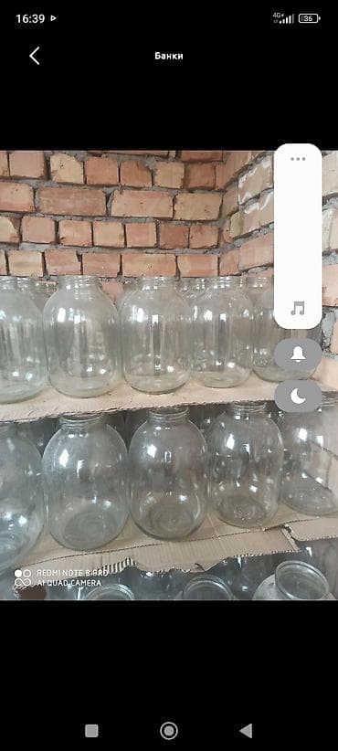 грибы оптом: Банки, Б/у, Самовывоз — 3