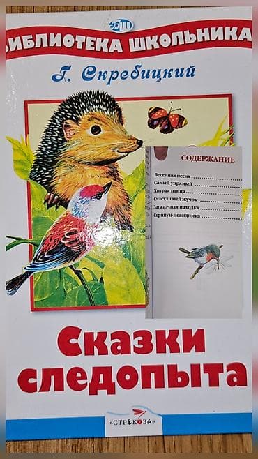 solutions elementary: ФОТО 1 УЧЕБНИКИ БУ: Русский язык (Т. Г. Рамзаева) - Учебник для 1 — 4