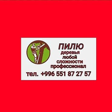 Мы пилим сложные деревья в бишкеке в стесненных условиях, то есть — 1