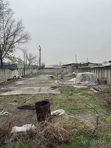 3: 29 соток, Красная книга — 5