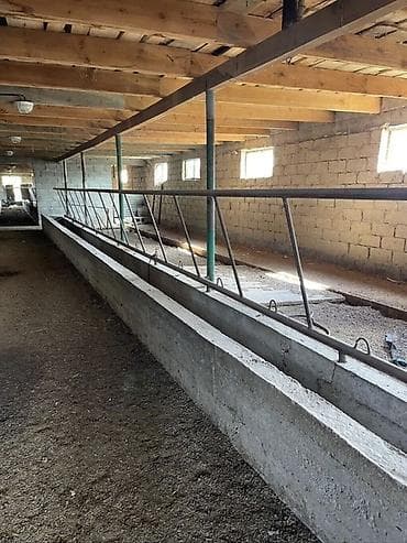 дачи в канте: Просторная усадьба в селе Ленинское: 240м2 уюта и 20 соток свободы ! — 4