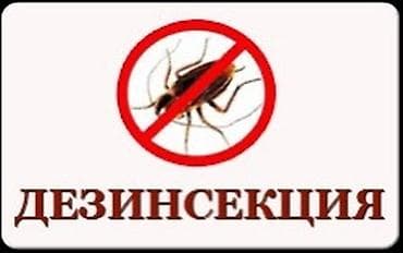 Дезинфекция, дезинсекция, | Блохи, Вирусы, микробы, Клопы, | Квартиры, Подъезды, Дворы