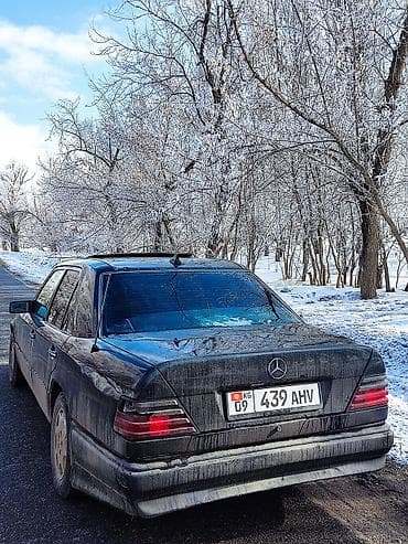 Mercedes-Benz W124: 1993 г., 2.2 л, Механика, Бензин