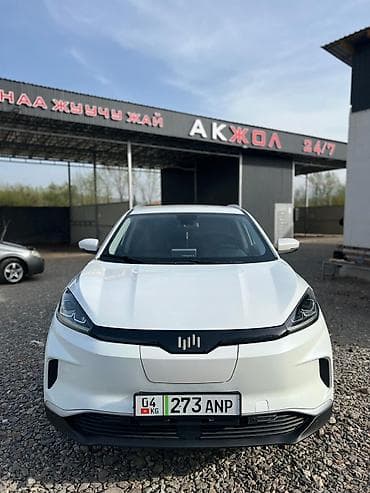 падиомник авто: Tianye : 2022 г., Автомат, Электромобиль, Кроссовер — 2