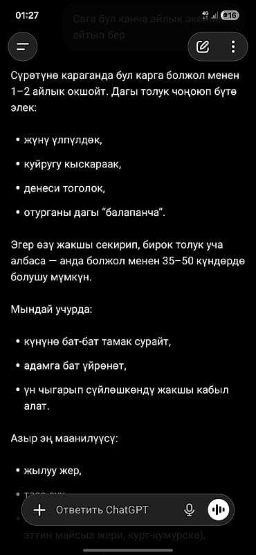 Птицы: Молодая ворона (воронёнок) - Окрас: полностью чёрный, матовое — 4