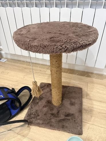 котенки: Набор для кошки/котёнка(б/у) В комплект входит: - Когтеточка-столб с — 2