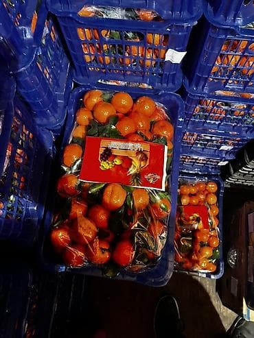 Полуфабрикаты: Мандарины, 800 сом за ящик — 2