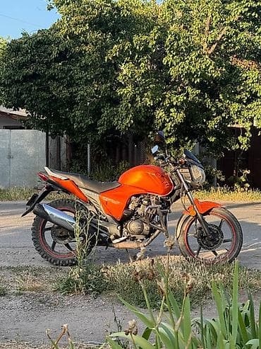 Мотоциклы: Naked Honda, 150 куб. см, Бензин, Взрослый, Б/у — 6