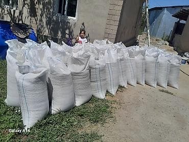 продам сахар: Арпа сатам таза арпа быйылкы жаны чабылды Сокулук Кун Туу айылы — 3
