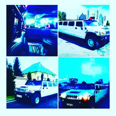 Туристические услуги: | 1516 мест — 8