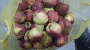 мясной домик бишкек: Яблоки В розницу — 3