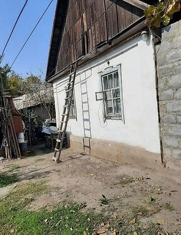 участок иссык куль в аренду: 5 соток, Для бизнеса, Красная книга — 2