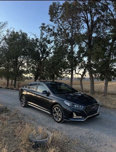 авто элек: Hyundai Sonata: 2018 г., 2 л, Автомат, Гибрид, Седан — 8