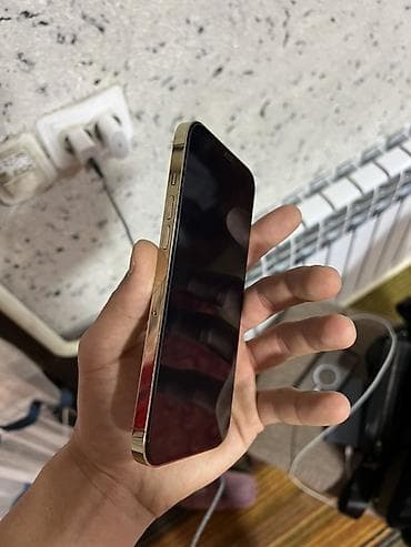 apple watch bishkek: IPhone 12 Pro Max, Б/у, 256 ГБ, Золотой, Зарядное устройство, Чехол, 84 % — 3