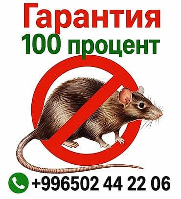 против мышей: Дезинфекция, дезинсекция, | Мыши и крысы, | Квартиры — 1