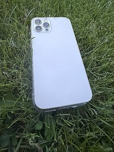 IPhone 12 Pro, 256 ГБ, Серебристый, Чехол