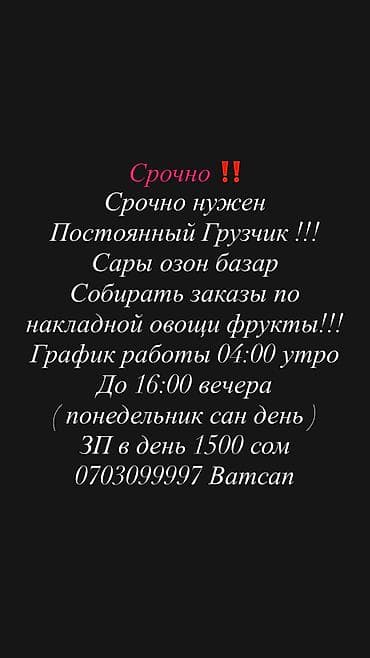 упаковщицы с ежедневной оплатой: Грузчик — 1