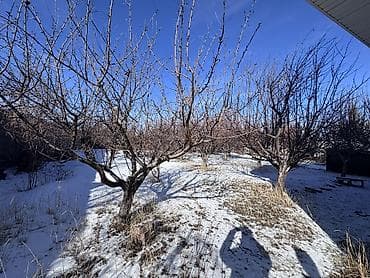 куплю участок дордой: Дом, 200 м², 3 комнаты, Собственник, ПСО (под самоотделку) — 3