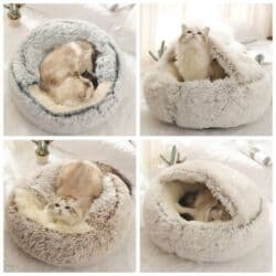 ошейник для собак бишкек: Продаю новые строгие ошейники в двух моделях,а так же большой выбор — 22