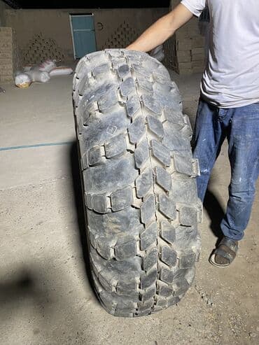 шины бишкек дордой цены: Шиналар — 4