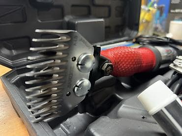 сколько стоит щенок мопса: Акция Рассрочка тоже есть Барана стрижка От 3500 мин сом До : 18500 — 5