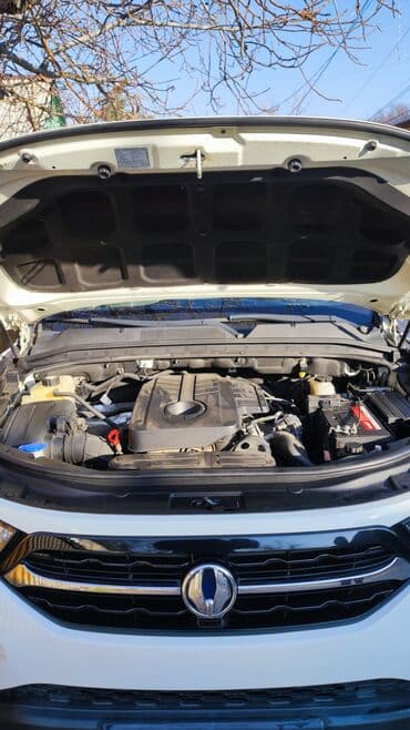 домкрат рекс: Ssangyong Rexton: 2018 г., 2.2 л, Автомат, Дизель, Внедорожник — 9