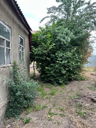 купить дом в александровке: Дом, 45 м², 4 комнаты, Собственник, Старый ремонт — 16