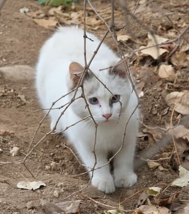 5 месяцев, Девочка