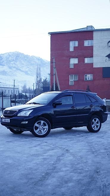 puma mercedes: Lexus RX: 2003 г., 3.3 л, Автомат, Газ, Универсал — 1