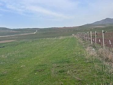 участок жер: 50 соток, Айыл чарба үчүн — 4