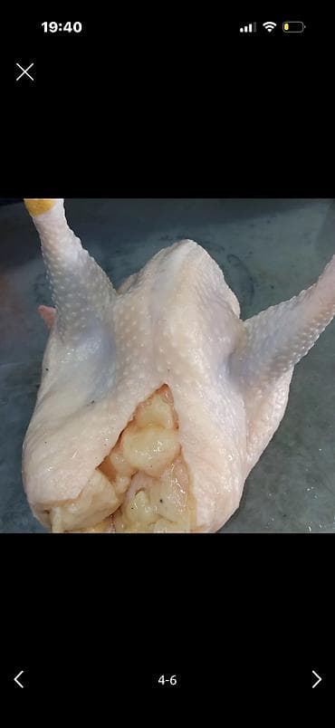 мясо фазана: Курица  — 4