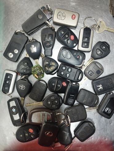 Бала бакчалар, бала багуучулар: Компьютердик диагностика, Автоунаа системаларын жөнгө салуу, адаптациялоо, баруу менен — 10