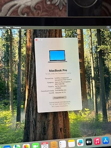 macbook pro 2013: MacBook Pro 13" (2019, 2 порта Thunderbolt 3) - Дисплей: Retina — 4